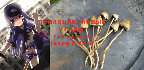 таблы Абинск